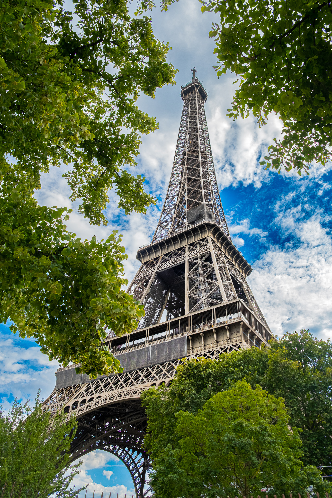 picture of an eifell tower from the bottom, with trees