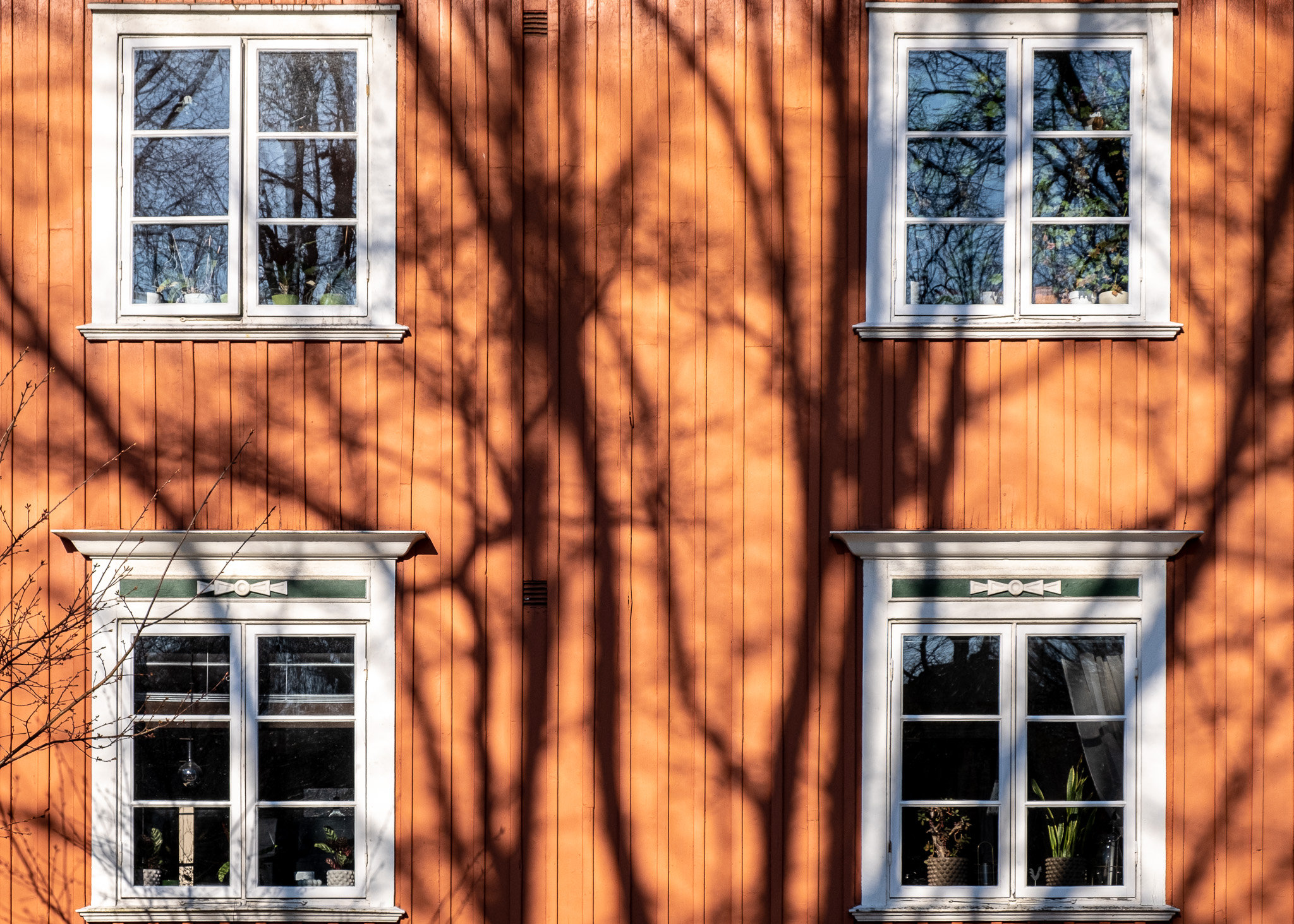 symetric windows with orange wooden wall
